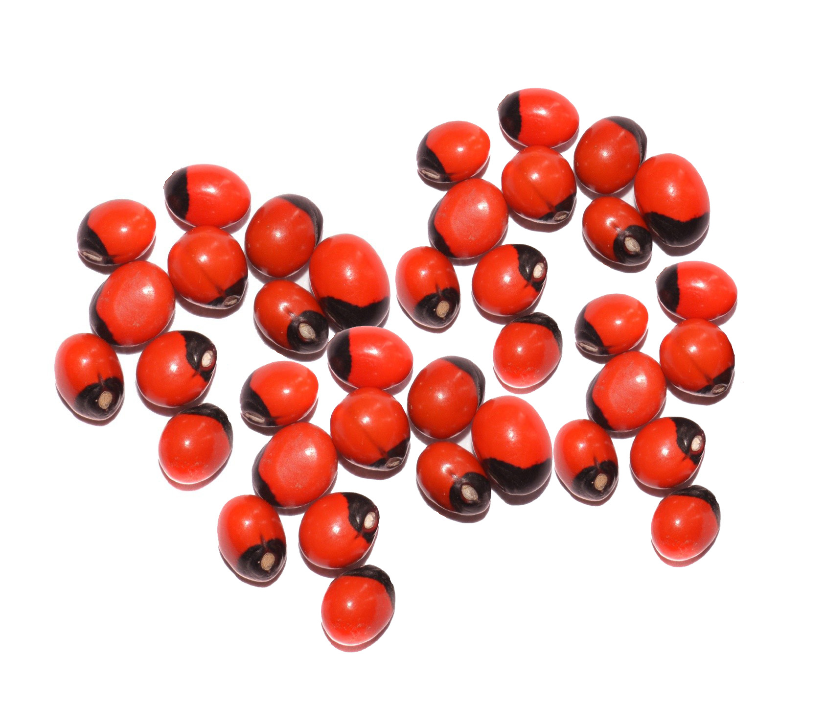 Red Gunja 